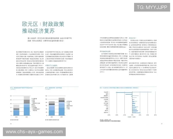 发展总结报告：完成